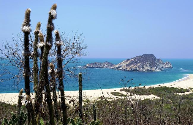 Cacaluta, Parque Nacional Huatulco