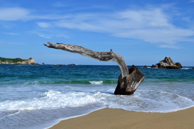 Bahía San Agustín, Parque Nacional Huatulco