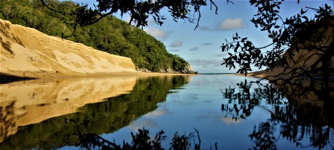 Humedal, Bahía Órgano