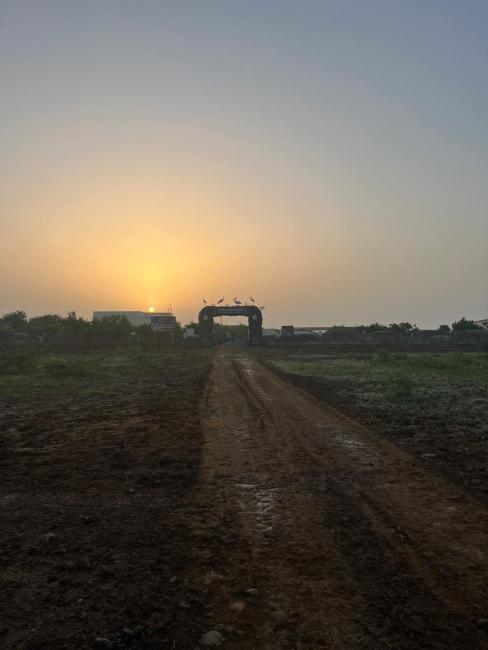 This picture was taken during the passage migratory count which is conducted by Gujarat Forest Department in collaboration with BCSG. 