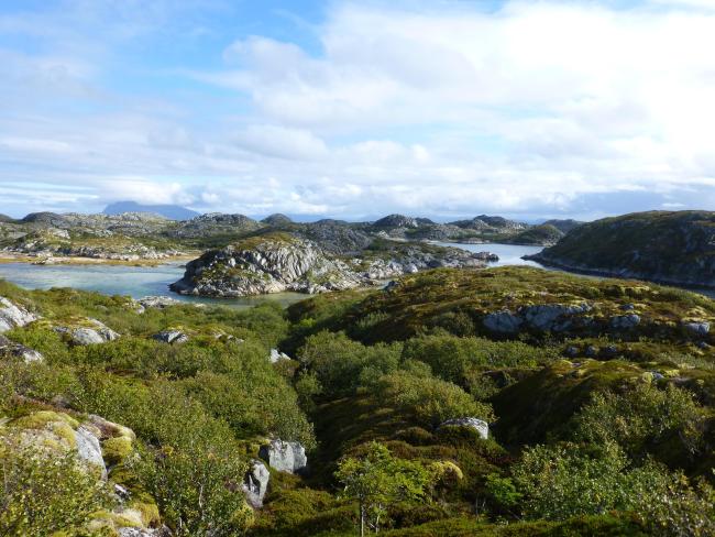 Bliksvær