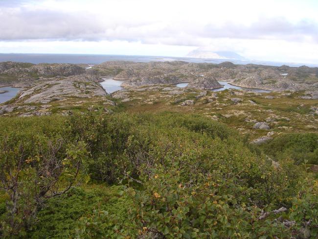 Bliksvær