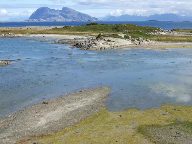Bliksvær
