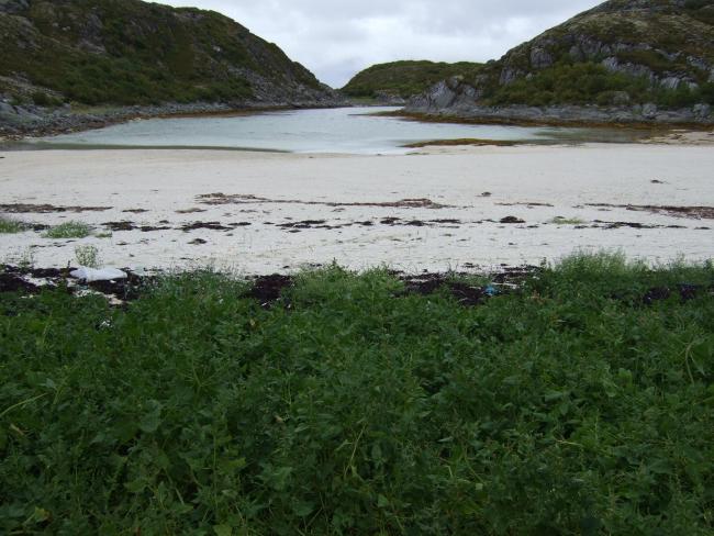 Bliksvær