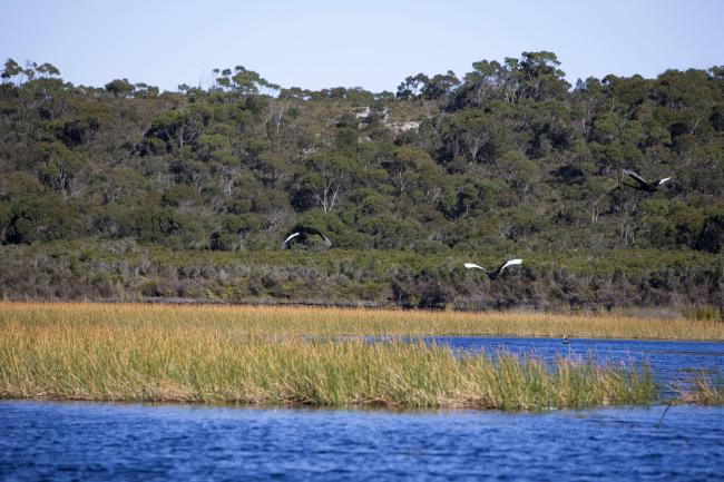 The Ramsar listed wetland of Jocks Lagoon near St Helens in Tasmania