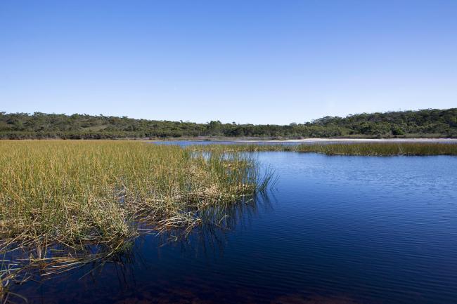 The Ramsar listed wetland of Jocks Lagoon near St Helens in Tasmania