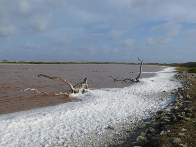 Salt pan Cai at Lac Baai