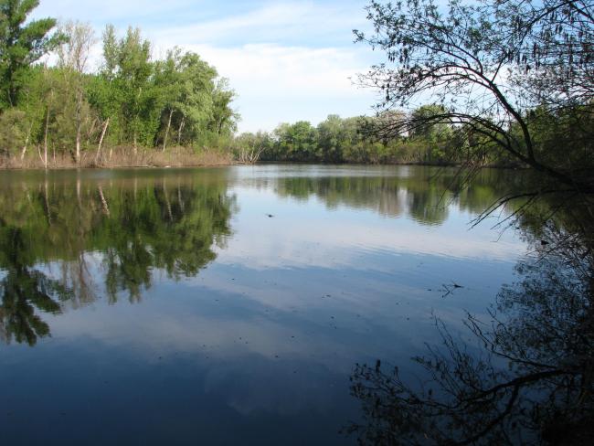 An oxbow lake of the river Tisza at Mártély