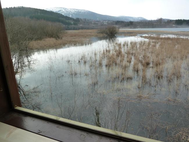 View from the bird tower in Hammervatnet.