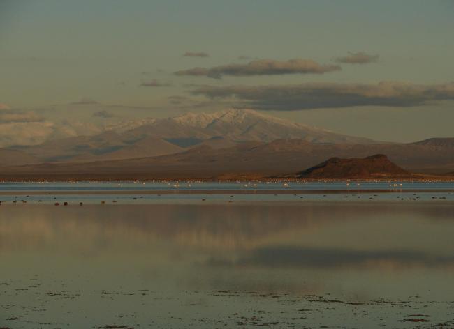 Laguna de Llancanelo, atrás Cerro Nevado