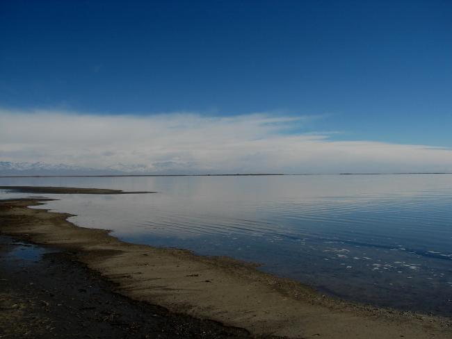 Laguna de Llancanelo