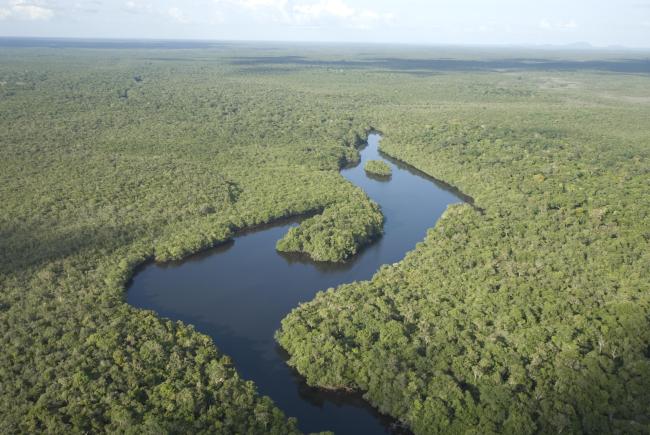 Virua