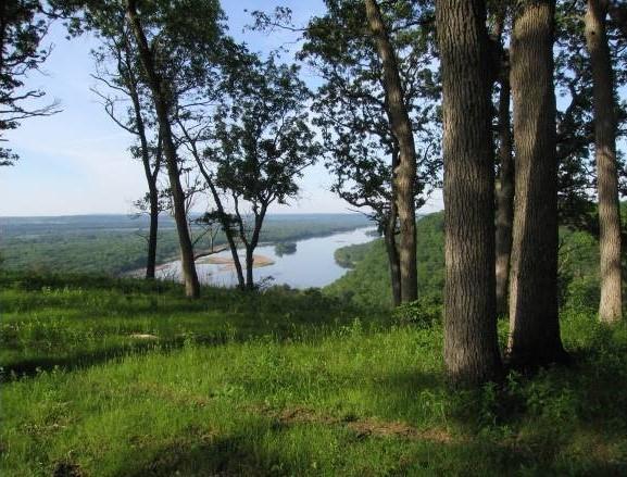 Bluff woodland  along LWR