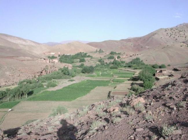 Agriculture en terrasses