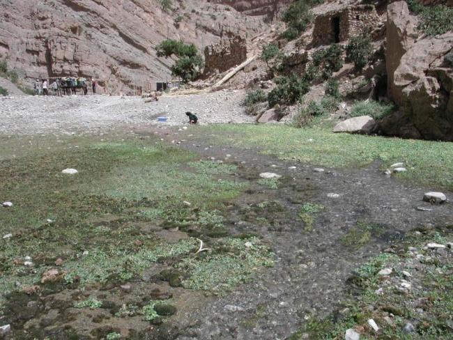 Source en aval des gorges