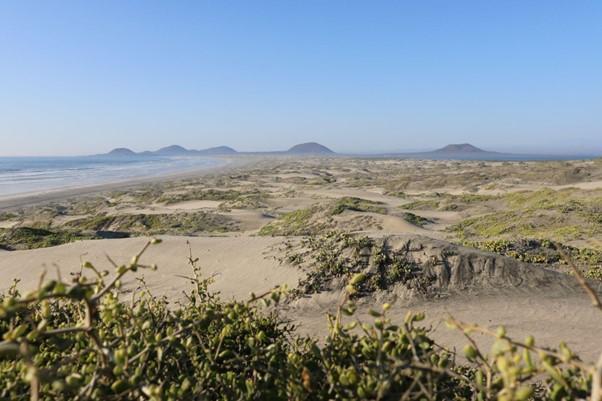 Dunas de la chorera 