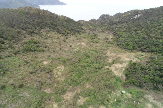 Jangdo Wetland View
