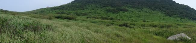 site view