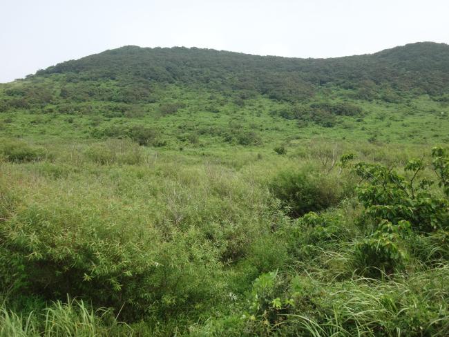 site view