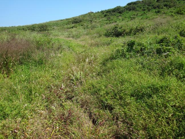 site view