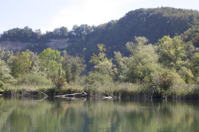 Niederried Stausee. Upper part of the site with sandstone cilffs. 