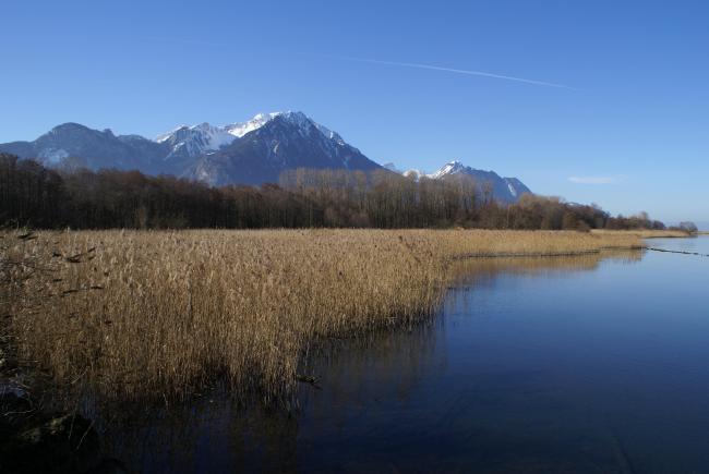 Roselière et lac Savies