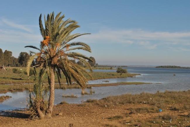Marais de la Mékhada