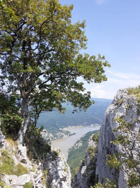 Mali Strbac