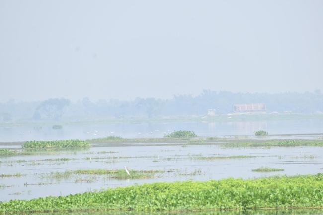 Gogabil Lake1