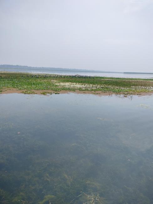 Gogabil Lake coverage