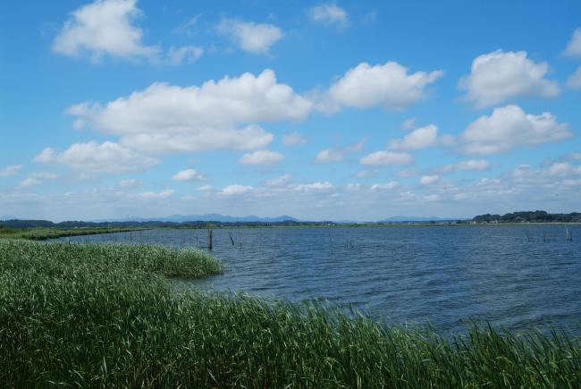 7_Hinuma_surface