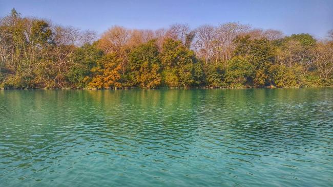 Nangal wetland