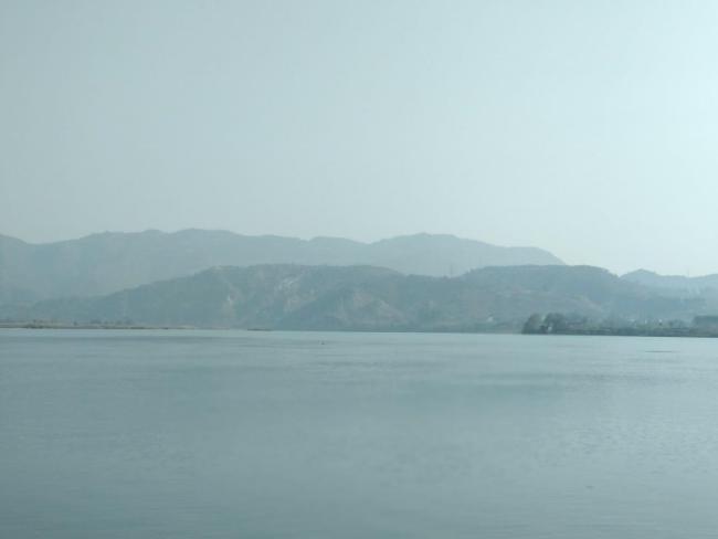 Landscape view of Nangal wetland. 