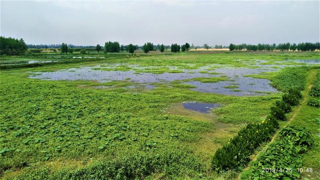 View of Keshopur-miani community reserve