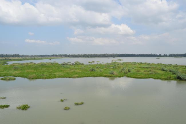 View of Bhindawas Wildlife Sanctuary
