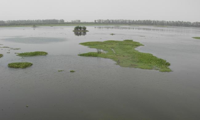 Bhindawas Wildlife Sanctuary