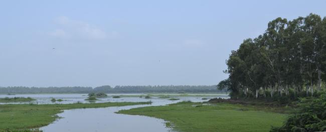 Bhindawas Wildlife Sanctuary