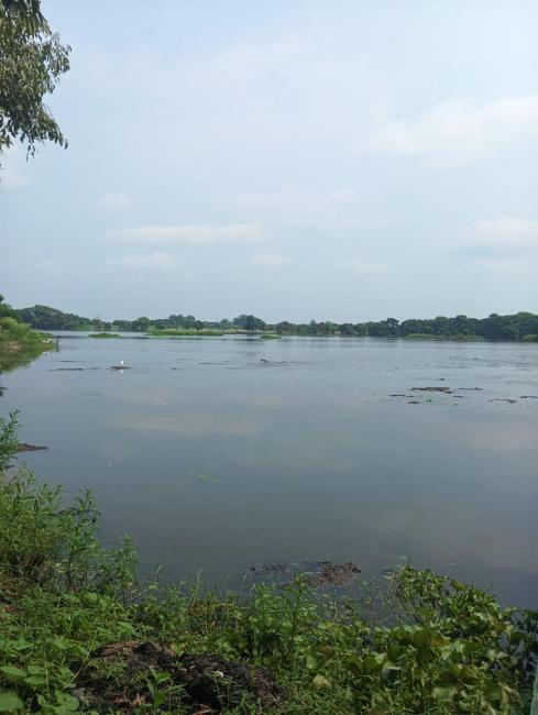 View of Sheikha Jheel Bird Sanctuary 