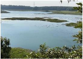 View of Sheikha Jheel Bird Sanctuary 