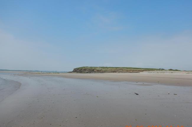 Bannow Bay