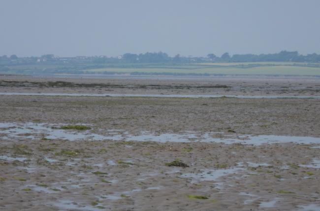 Bannow Bay