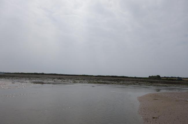 Bannow Bay