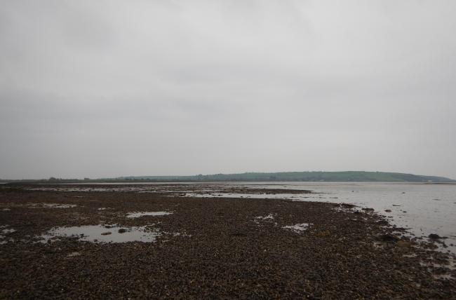 Blackwater estuary