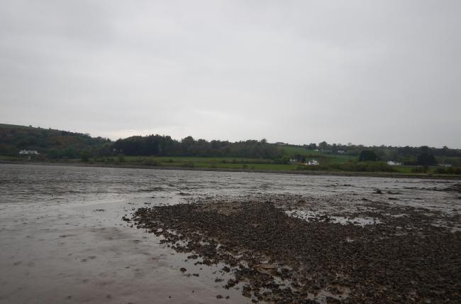 Blackwater estuary