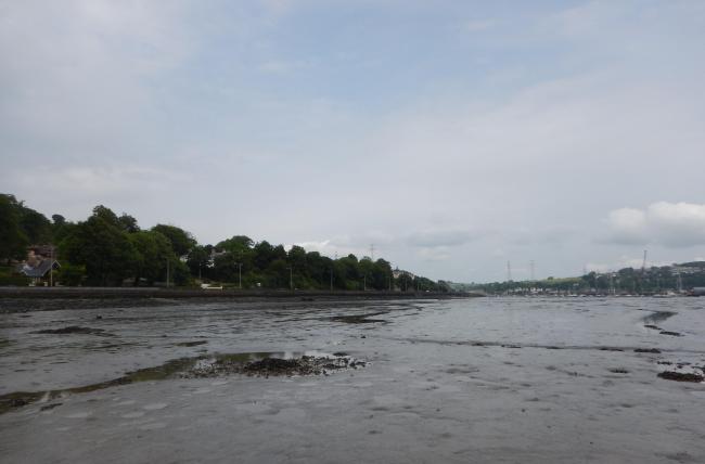 Cork Harbour