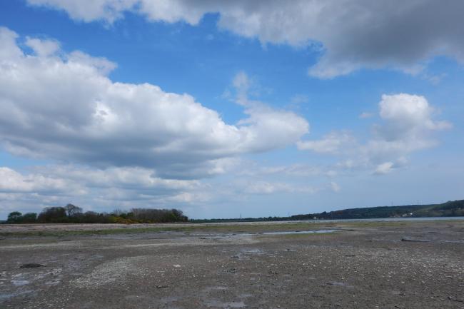 Cork Harbour