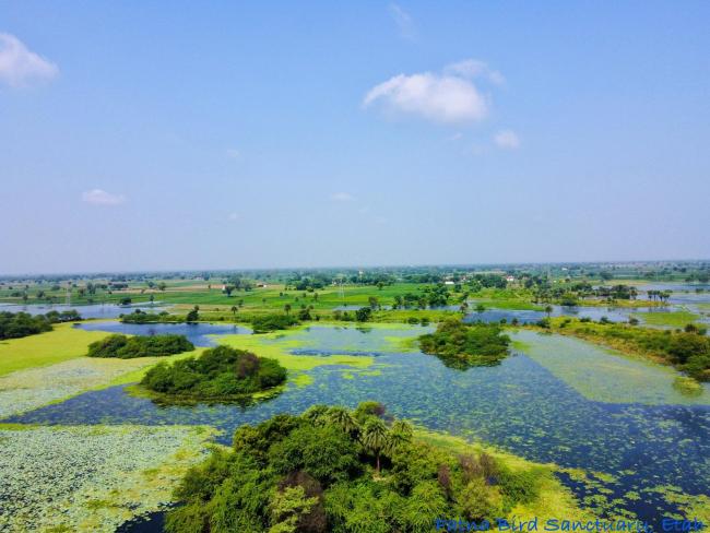 Landscape after rainy
season.