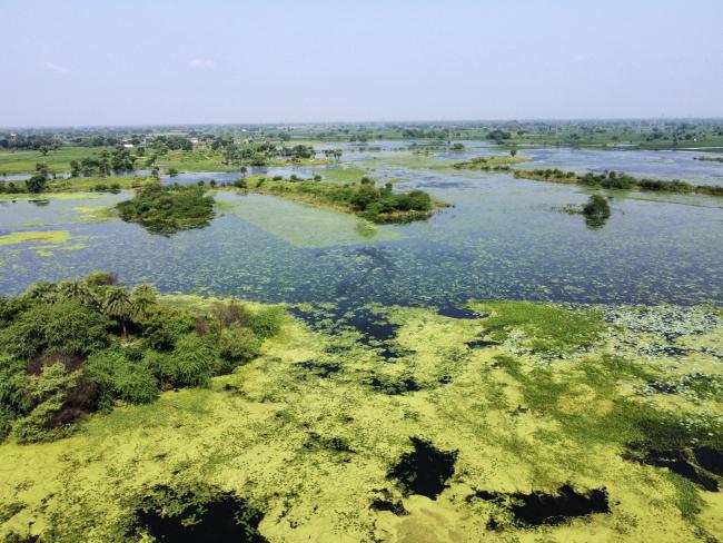 Landscape after rainy
season.