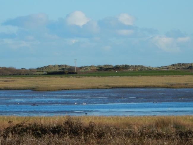 Baldoyle Bay