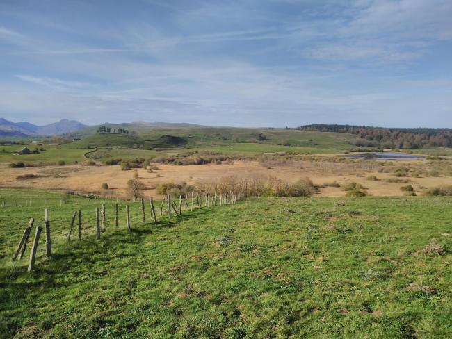RNR Tourbière de la Gazelle et du Jolan (Cantal)